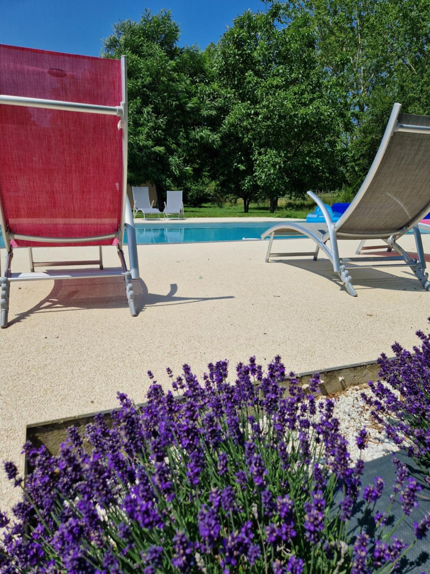 Chambre D'Hotes La Membrolle-sur-Choisille ภายนอก รูปภาพ